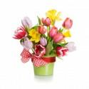 /Files/images/Easter-flowers-12080855_s-125x125.jpg